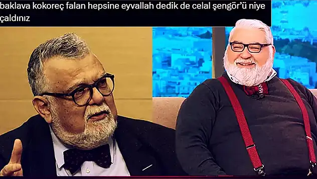 Yunan TV programcısının Celal Şengör'e benzerliği sosyal medyada gündem oldu