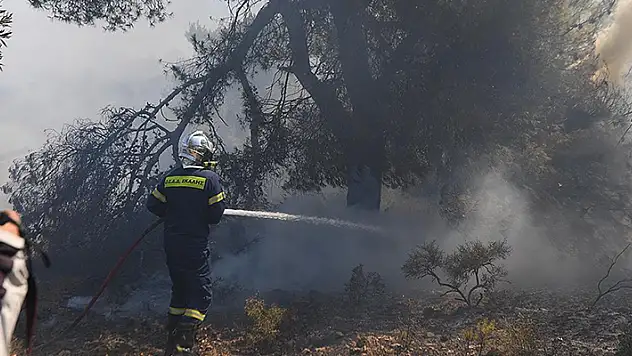 Yunanistan'da son 24 saatte 46 orman yangını çıktı
