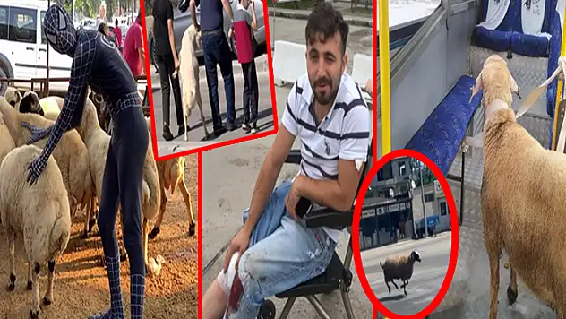 Yurttan Kurban Bayrmı manzaraları