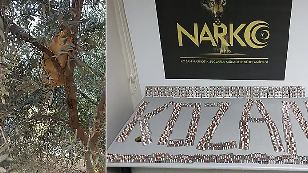 Zeytin ağacında 1569 adet uyuşturucu hap ele geçirildi
