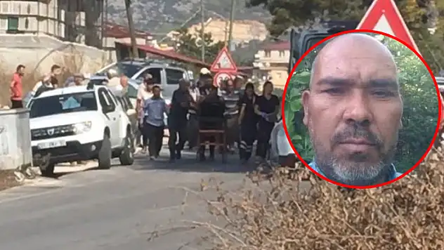 Zeytin hasadında acı olay! Yaban arılarının arasında kaldı
