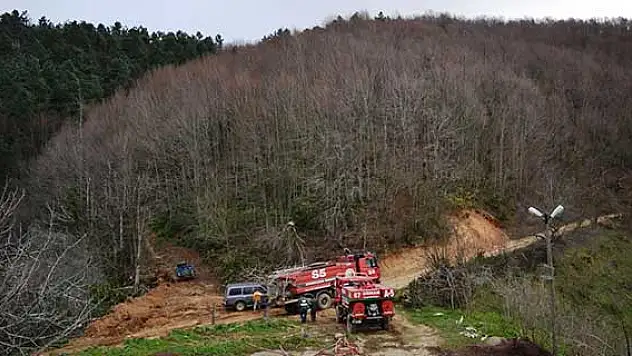 Zonguldak'taki orman yangını