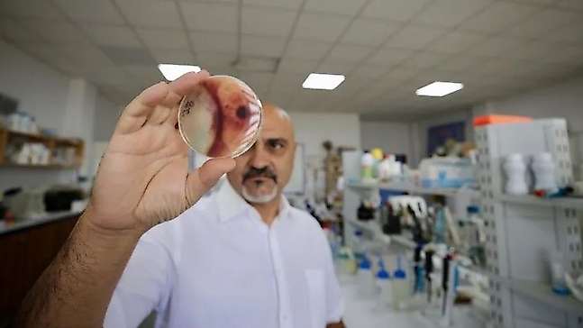 Türk ve Alman bilim insanlarından böcek kovucuda çığır açan keşif
