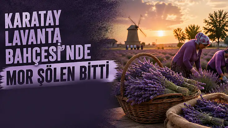 Karatay Lavanta Bahçesi'nde mor şölen bitti, hasat mesaisi başladı