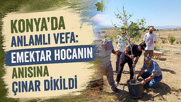 Konya'da anlamlı vefa: Emektar hocanın anısına çınar dikildi