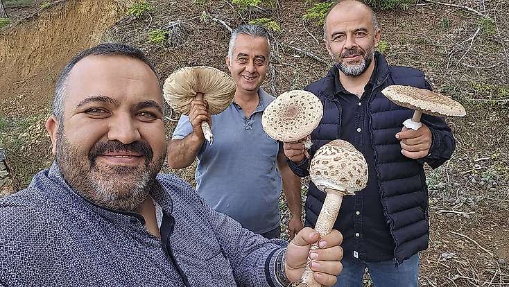 Konya'da ilginç mantar hasadı: O anlar sosyal medyada paylaşıldı