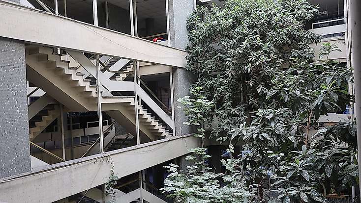Konya'da iş hanının içindeki ağaçlar görenleri şaşırtıyor