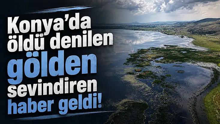 Konya'da öldü denilen gölden sevindiren haber geldi!