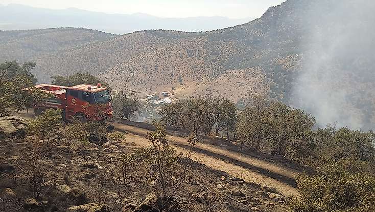 Konya'da ormanlık alanda çıkan yangın söndürüldü