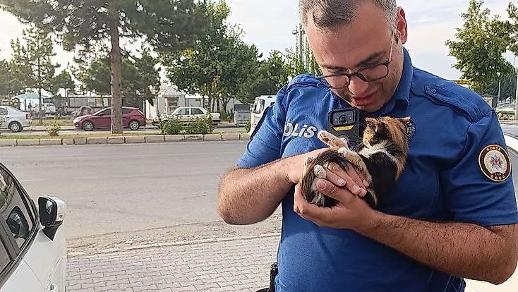 Konya’da otomobilin motoruna giren yavru kedi böyle kurtarıldı
