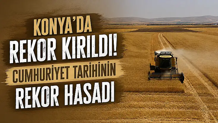 Konya'da rekor kırıldı! Cumhuriyet tarihinin rekor hasadı