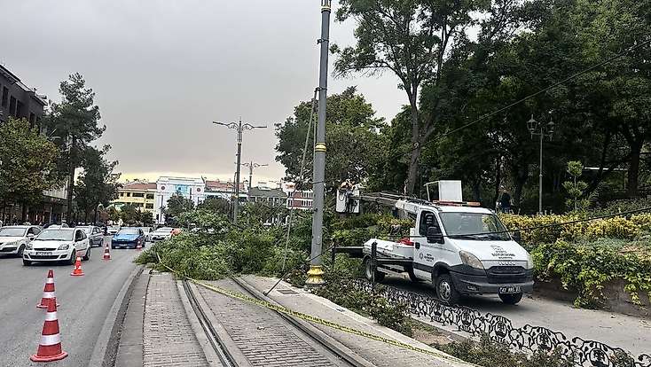 Konya'da tramvay yoluna ağaç devrildi 1 çocuk yaralandı