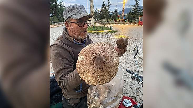 Konya'da vatandaşın karşılaştığı manzara şaşırttı