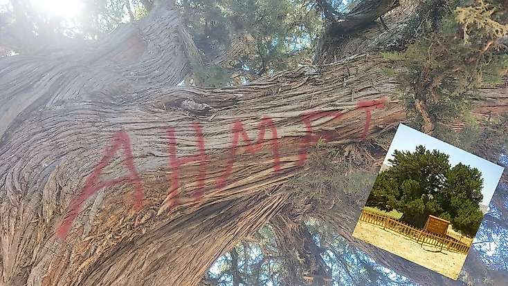 Konya'da vicdanları sızlattılar ama inceleme başladı