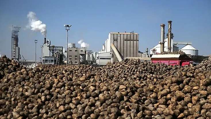 Konya'dan şeker pancarı müjdesi: Türkiye dışarıdan ürün almayacak