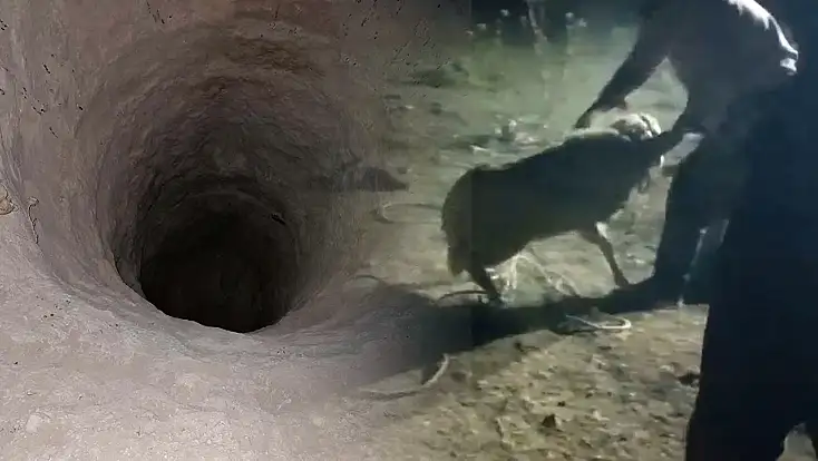 Konya mucize kurtarış! İki gün çukurda kaldı