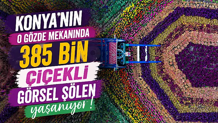 Konya'nın o gözde mekanında 385 bin çiçekli görsel şölen yaşanıyor!