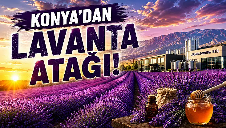 Konya Ovasında mor bereket: Konya ilk 5'e girdi!