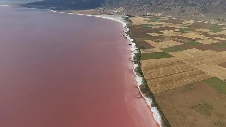 Türkiye'nin ortasında pembe bir mucize: Tuz Gölü'nün rengi değişti