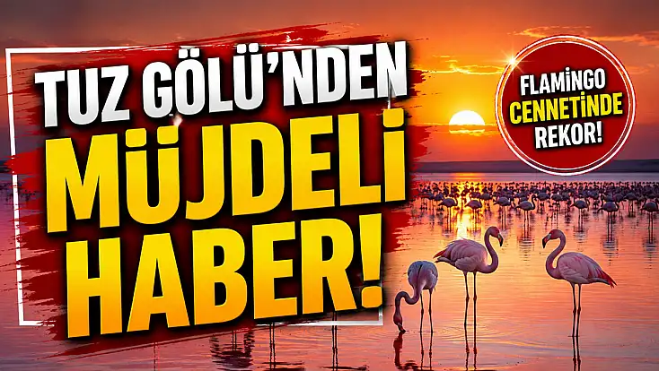 Tuz Gölü'nden müjdeli haber!