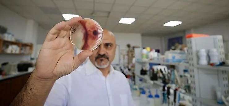 Türk ve Alman bilim insanlarından böcek kovucuda çığır açan keşif