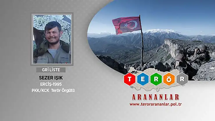 Ağrı'da gri kategorideki terörist etkisiz hale getirildi