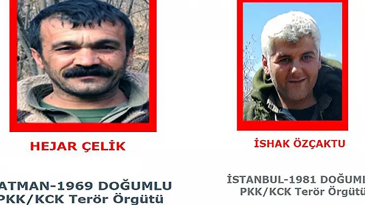 Diyarbakır'da kırmızı listedeki 2 terörist öldürüldü
