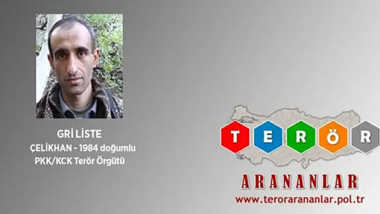 Gri listedeki terörist öldürüldü