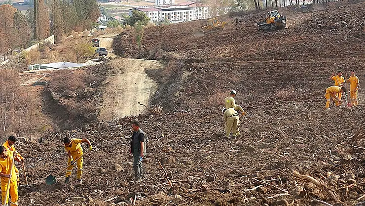 Hatay ve Kilis'te bir günde 44 bin 50 fidan toprakla buluşturulacak