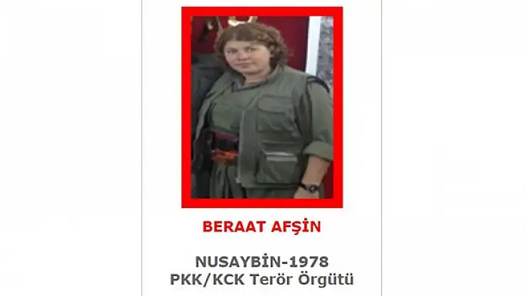 Kırmızı kategoride aranan terörist MİT'in operasyonuyla etkisiz hale getirildi