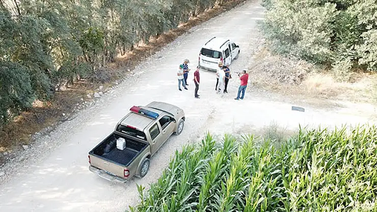 Konya'da polisten droneli Hint keneviri operasyonu: Yine mısır tarlası...