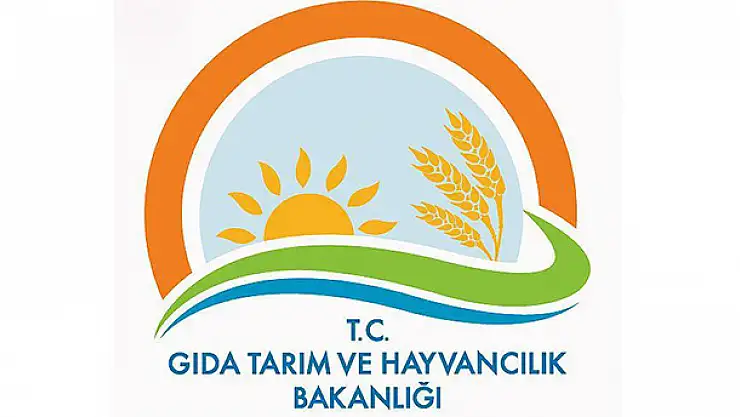 Taklit ve tağşiş yapan 229 firma açıklandı