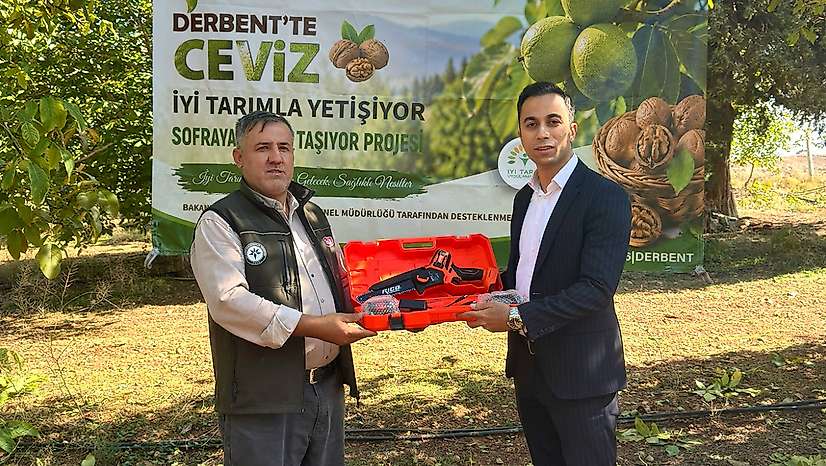 Derbent'te Ceviz Hasat Şenliği yapıldı