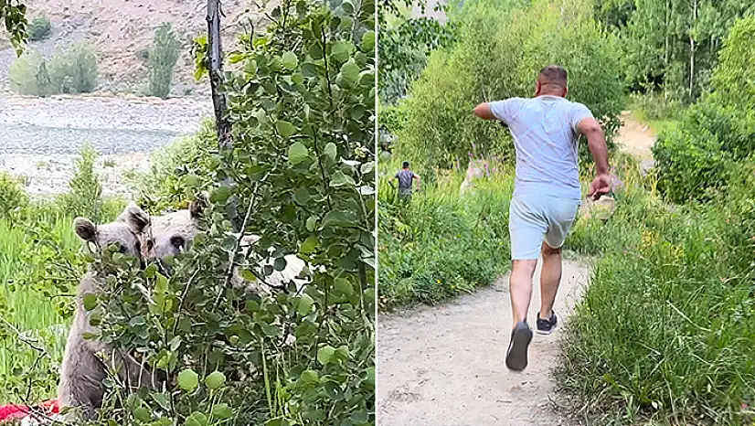Göl kenarına pikniğe giden aile ayılarla karşılaştı kurdukları sofrayı bırakıp kaçtılar

