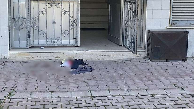 Konya'da kedi tüyü kavgası kanlı bitti