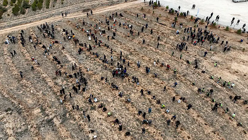 Konya'da yeşil seferberlik