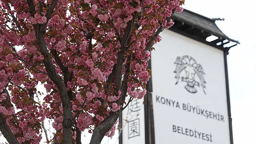 Konyalılar sakuraları görmek için Japonya'ya gitmenize gerek yok!