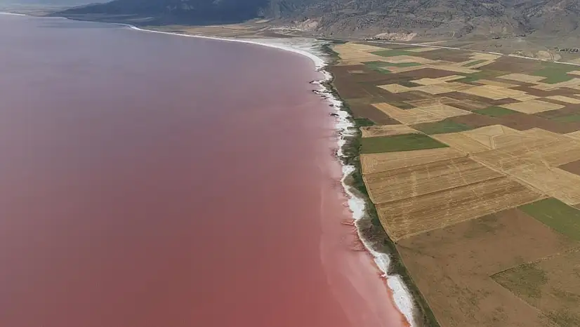 Türkiye'nin ortasında pembe bir mucize: Tuz Gölü'nün rengi değişti