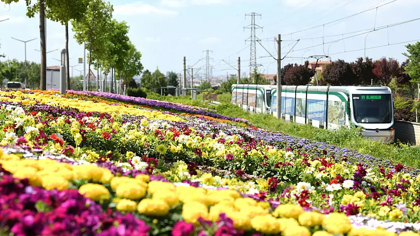 Bu görüntüler Konya'dan! Gören bir daha dönüp bakıyor