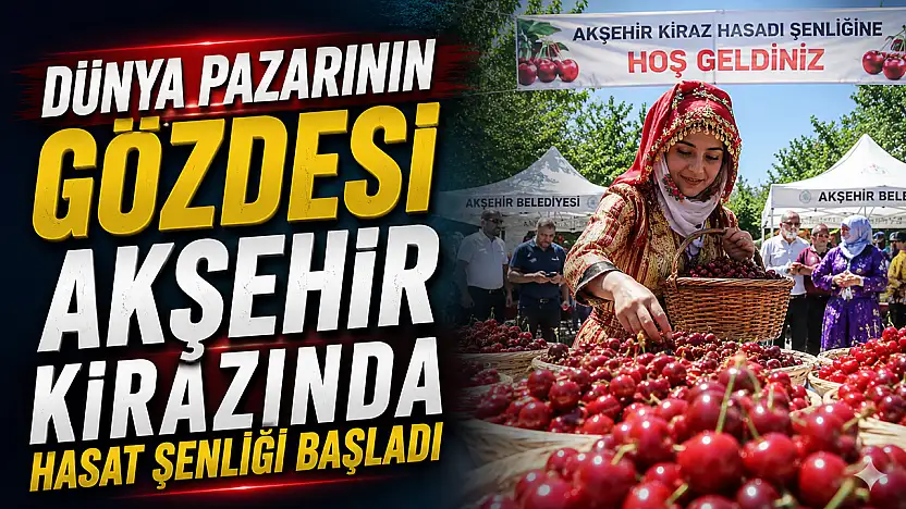 Dünya pazarının gözdesi Akşehir kirazında hasat şenliği başladı