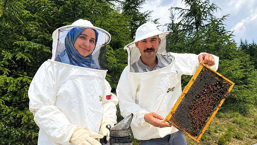 Hububat diyarı Konya arıcılıkta da iddialı: Kovan sayısı rekor kırdı