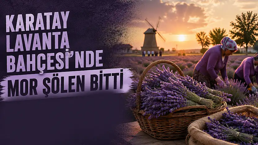 Karatay Lavanta Bahçesi'nde mor şölen bitti, hasat mesaisi başladı
