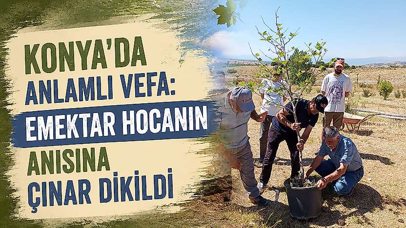 Konya'da anlamlı vefa: Emektar hocanın anısına çınar dikildi