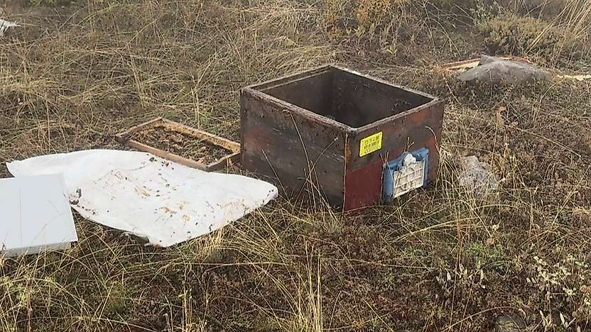 Konya'da ayı kovanlara saldırdı, üreticinin tepkisi dikkat çekti