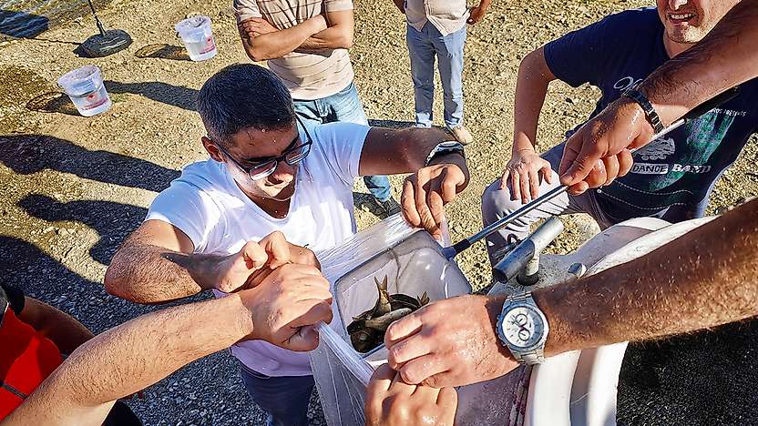 Konya'da balıkçılara müjde: Sular bereketleniyor