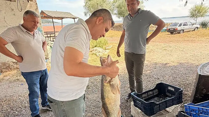 Konya'da balıkçılıkta yeni kontroller! Kurallar tek tek denetleniyor