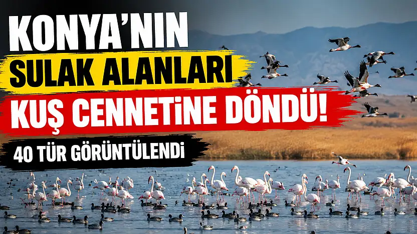 Konya'da binlercesi aynı anda görüntülendi