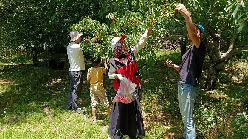 Konya'da hasat öncesi denetimler sürüyor