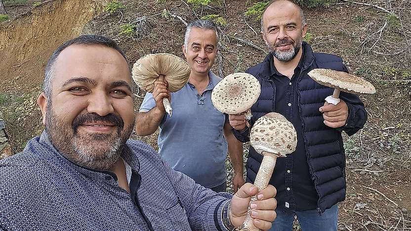 Konya'da ilginç mantar hasadı: O anlar sosyal medyada paylaşıldı