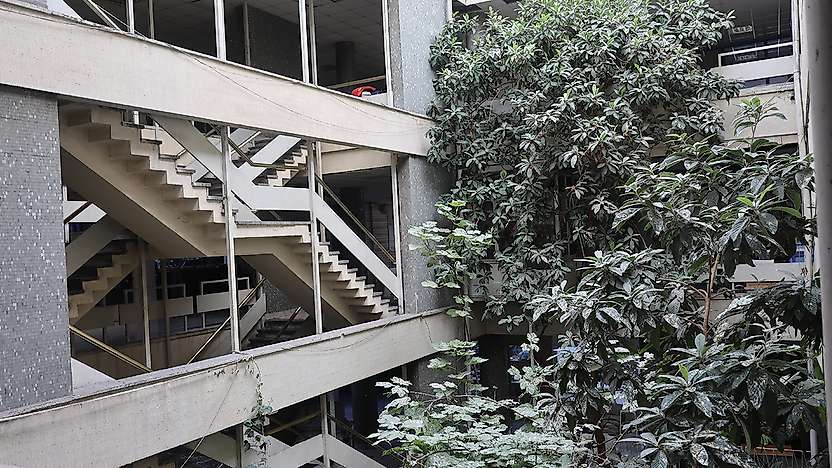 Konya'da iş hanının içindeki ağaçlar görenleri şaşırtıyor